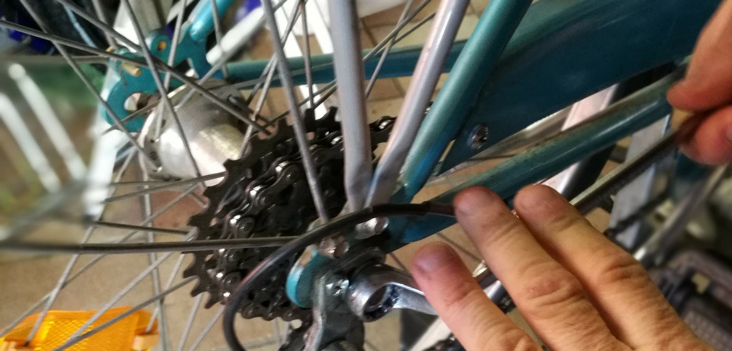 Negozio di biciclette a Scorzè - Fardin Cicli